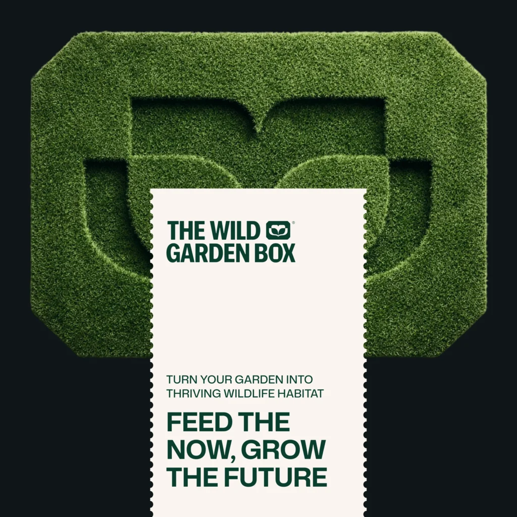 Брендинг для Wild Garden Box