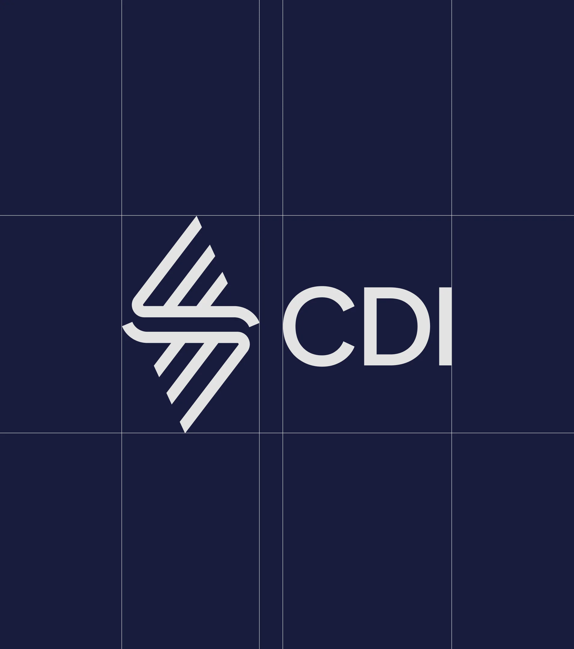Brand Identity & Website Design for Creative Drones