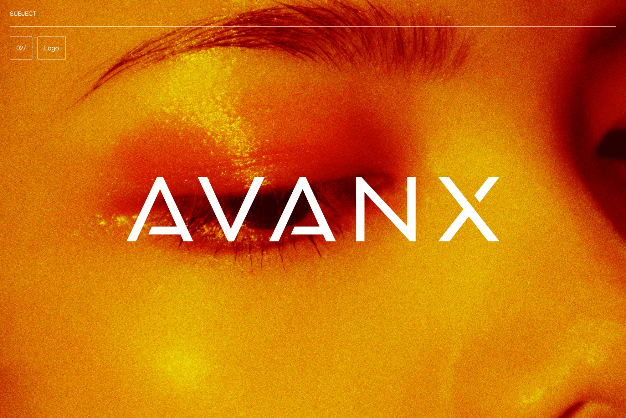 Website Design for AVANX