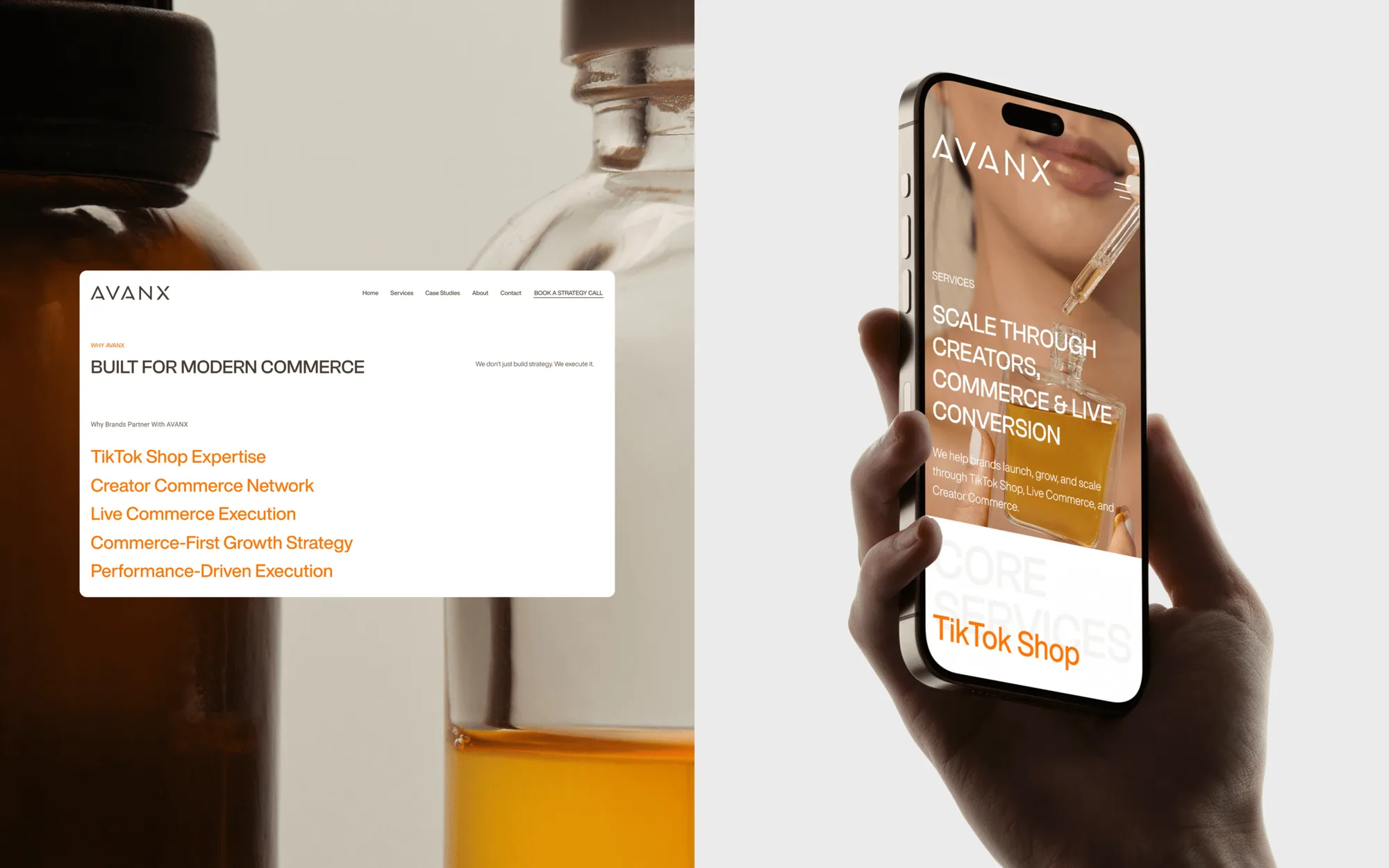 Website Design for AVANX